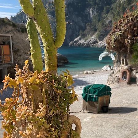 Capri Magic House On The Beach エクステリア 写真