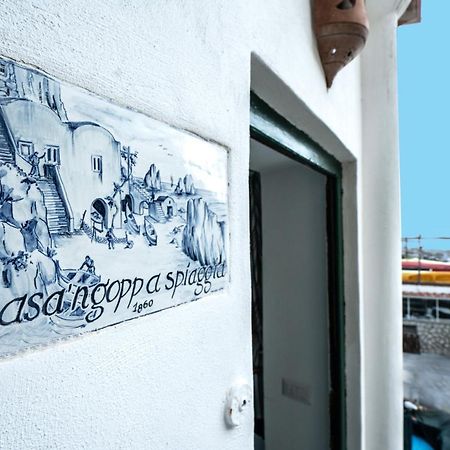 Capri Magic House On The Beach エクステリア 写真