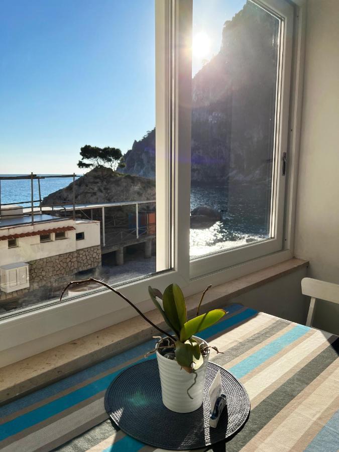 Capri Magic House On The Beach エクステリア 写真